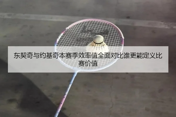 东契奇与约基奇本赛季效率值全面对比谁更能定义比赛价值