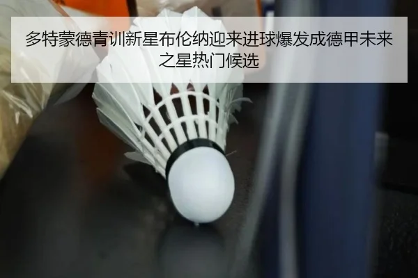多特蒙德青训新星布伦纳迎来进球爆发成德甲未来之星热门候选