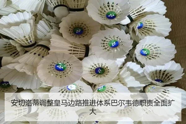 安切洛蒂调整皇马边路推进体系巴尔韦德职责全面扩大
